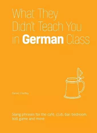 What They Didn't Teach You in German Class cover