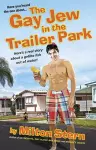 The Gay Jew In The Trailer Park cover