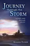 Journey Through the Storm cover