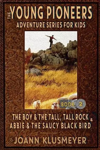 THE BOY AND THE TALL, TALL ROCK and ABBIE AND THE SAUCY BLACK BIRD cover