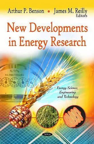 New Developments in Energy Research cover