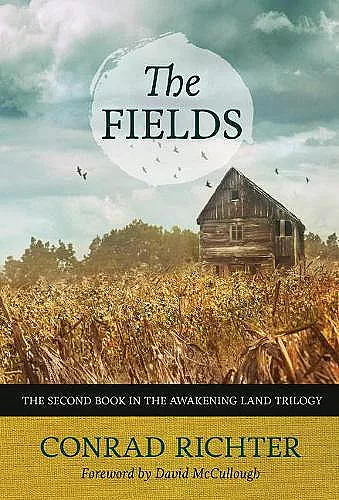 The Fields Volume 30 cover