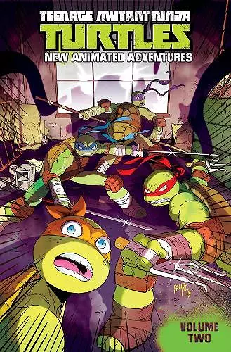 Teenage Mutant Ninja Turtles: New Animated Adventures Volume 2 cover