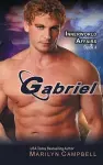 Gabriel (the Innerworld Affairs Series, Book 4) cover