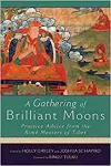 A Gathering of Brilliant Moons cover