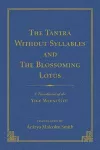 The Tantra Without Syllables (Volume 3) and The Blazing Lamp Tantra (Volume 4) cover