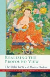Realizing the Profound View cover
