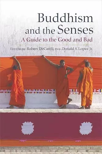 Buddhism and the Senses cover