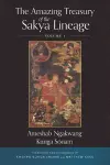 The Amazing Treasury of the Sakya Lineage cover