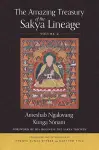 The Amazing Treasury of the Sakya Lineage cover