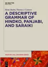 A Descriptive Grammar of Hindko, Panjabi, and Saraiki cover