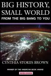 Big History, Small World cover