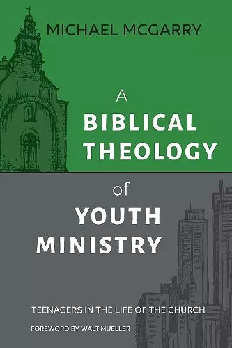 A Biblical Theology of Youth Ministry cover