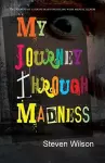 My Journey Through Madness cover
