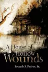 A House of Hollow Wounds cover