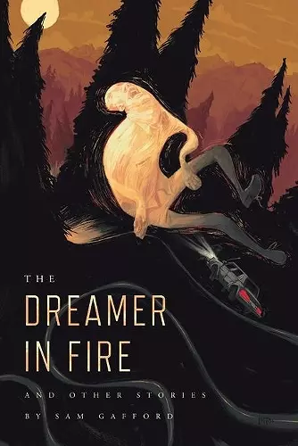 The Dreamer in Fire and Other Stories cover