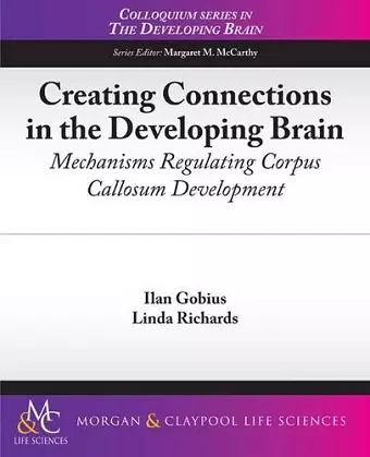 Creating Connections in the Developing Brain cover