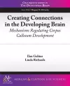 Creating Connections in the Developing Brain cover