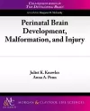 Perinatal Brain Development, Malformation, and Injury cover
