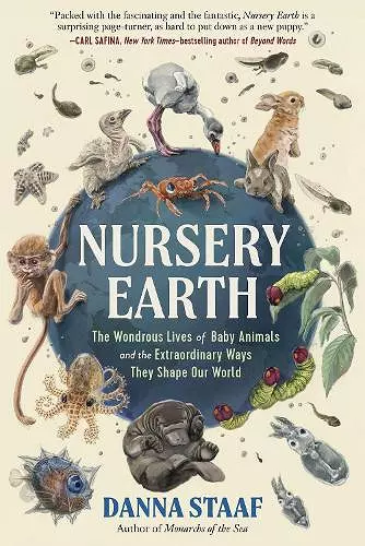 Nursery Earth cover