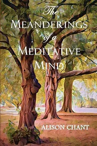 The Meanderings of a Meditative Mind cover