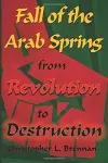 Fall of the Arab Spring cover