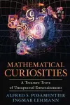 Mathematical Curiosities cover