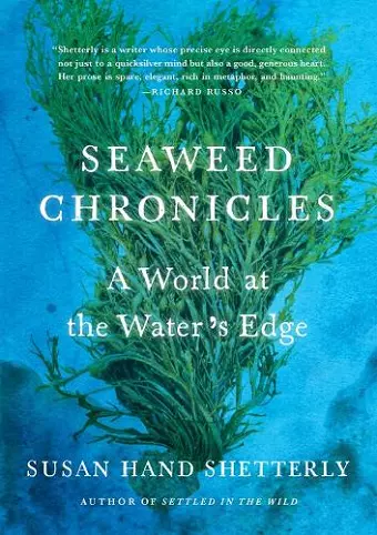 Seaweed Chronicles cover