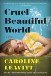 Cruel Beautiful World cover