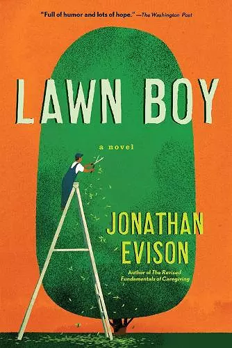 Lawn Boy cover