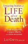 Amazing Stories Of Life After Death cover
