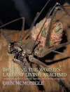 Breeding the World's Largest Living Arachnid cover