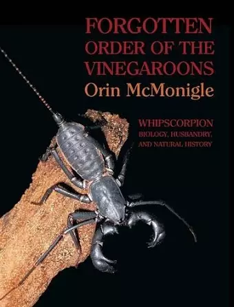 Forgotten Order of the Vinegaroons cover