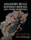 Assassin Bugs, Waterscorpions, and Other Hemiptera cover