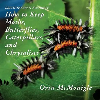 Lepidopteran Zoology cover