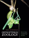 Orthopteran Zoology cover