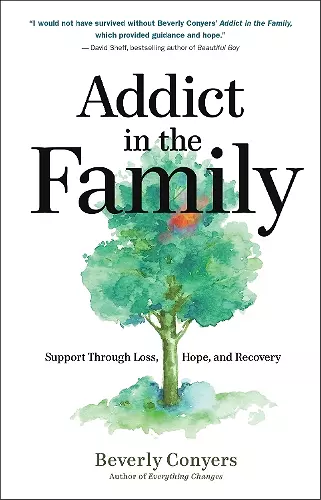 Addict in the Family cover