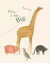 When I Am Big cover