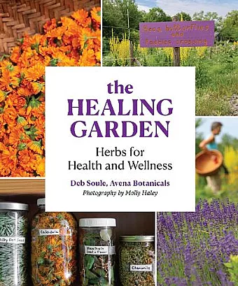 The Healing Garden cover
