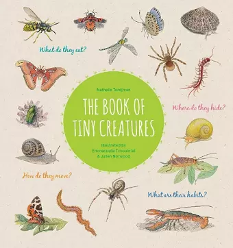 The Book of Tiny Creatures cover