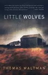Little Wolves cover
