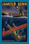 A Blind Goddess cover