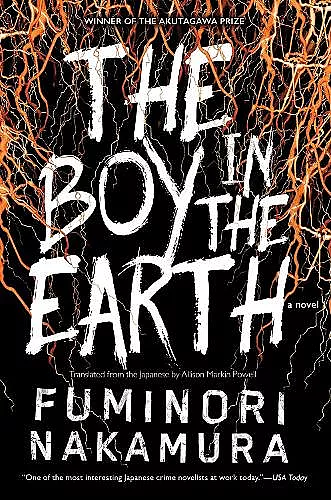 The Boy In The Earth cover