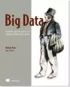 Big Data:Principles and best practices of scalable realtime data systems cover