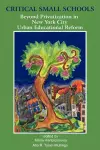 Critical Small Schools cover
