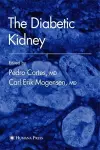 The Diabetic Kidney cover