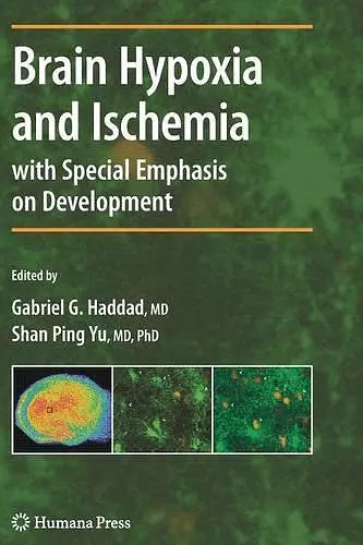 Brain Hypoxia and Ischemia cover