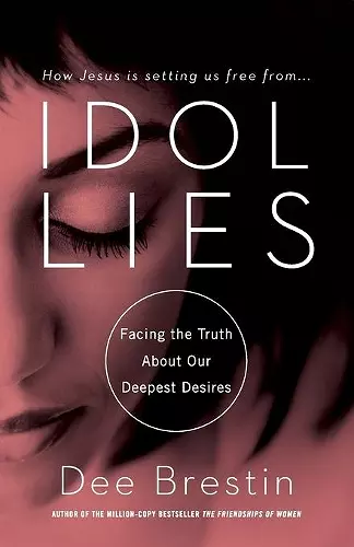 IDOL LIES cover