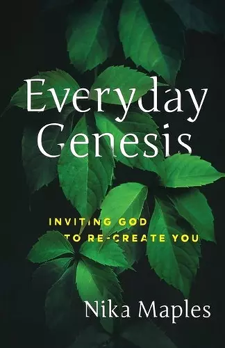 EVERYDAY GENESIS cover