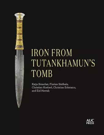 Iron from Tutankhamun's Tomb cover